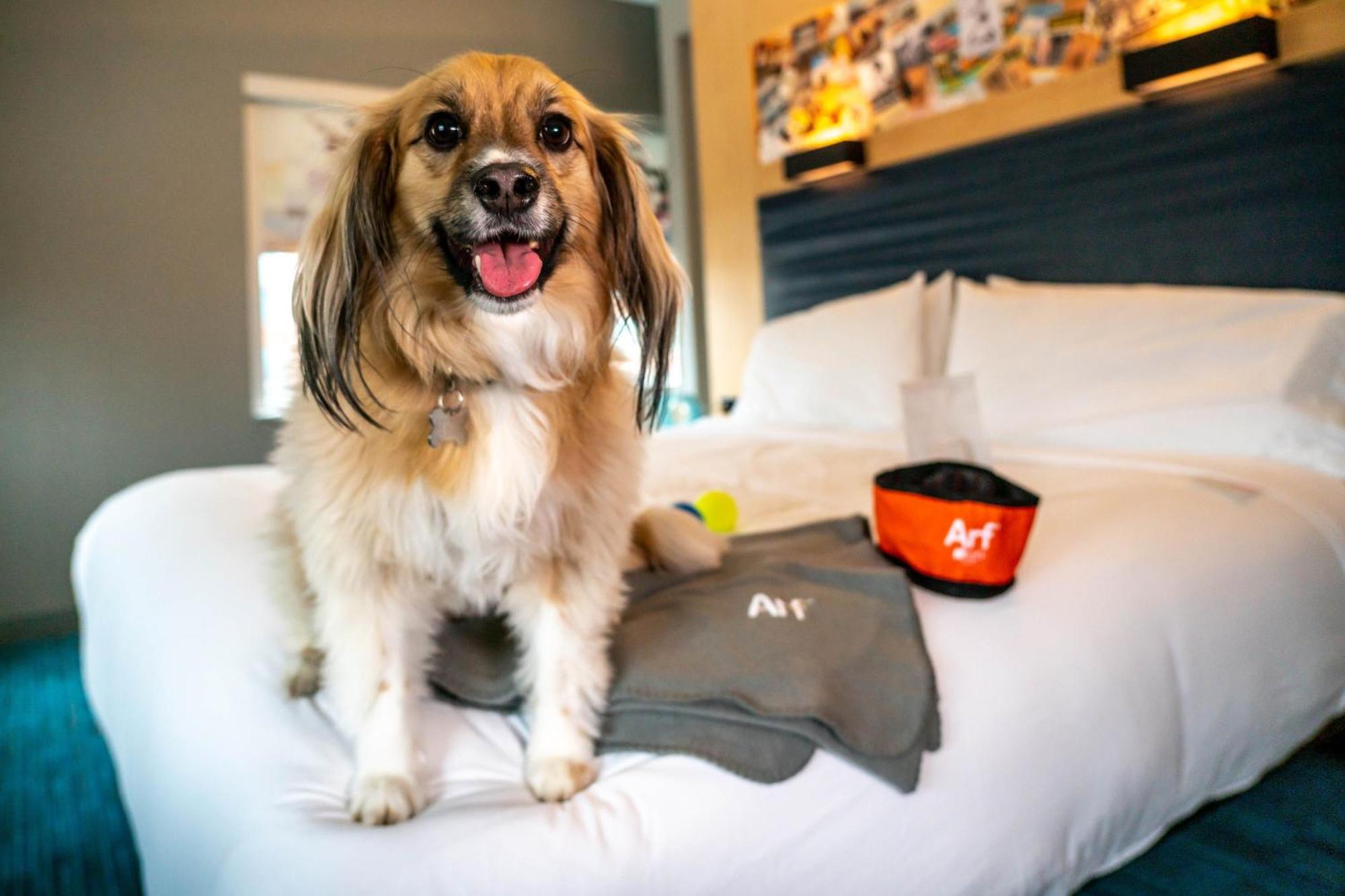 Aloft Louisville Downtown Luaran gambar